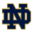 Notre Dame live stream