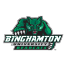 Binghamton live stream