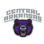 Central Arkansas live stream