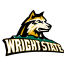 Wright State live stream